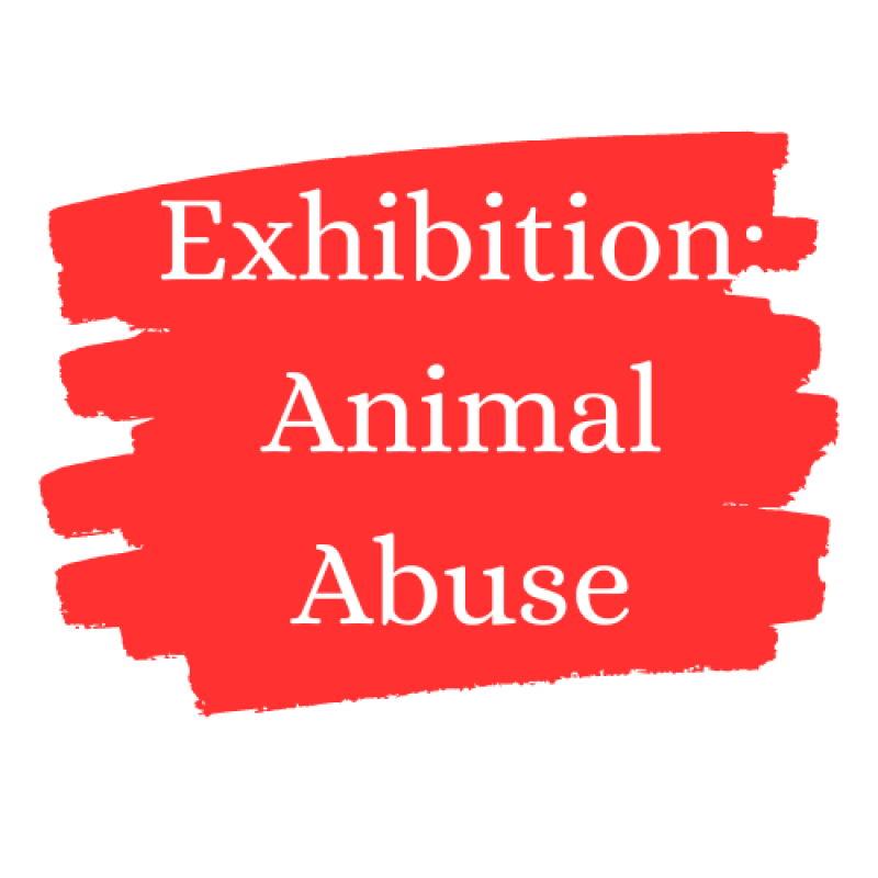Exhibition Animal Abuse