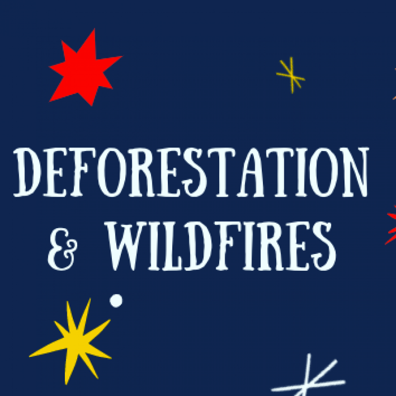 deforestation and wildfires