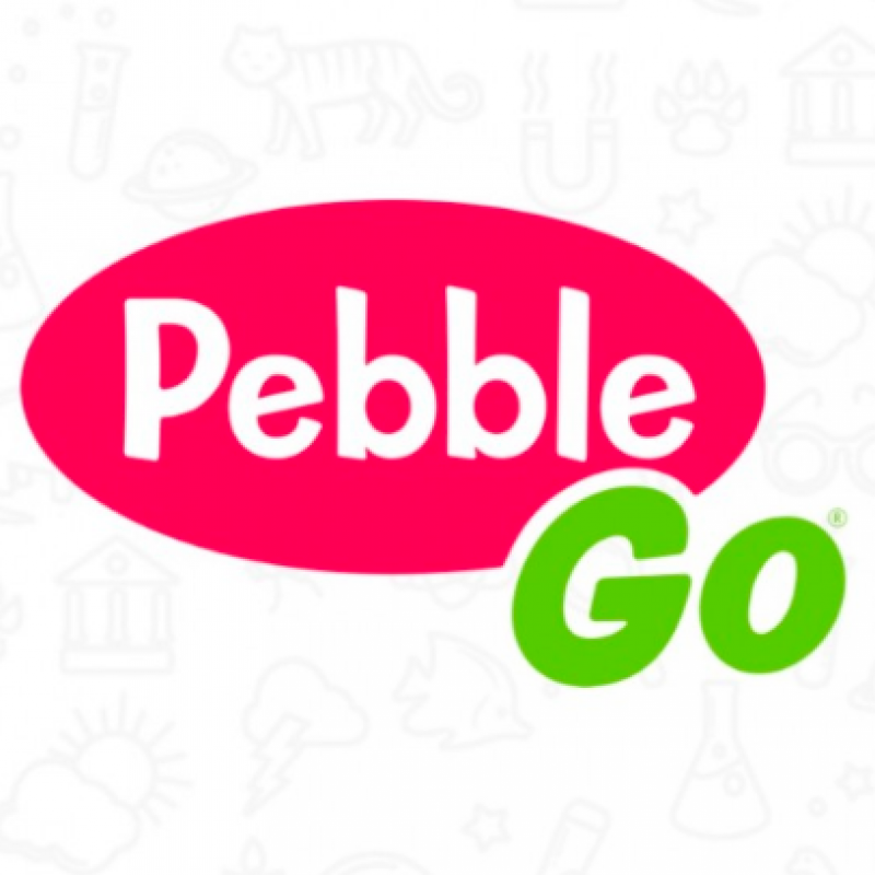 pebble go icon
